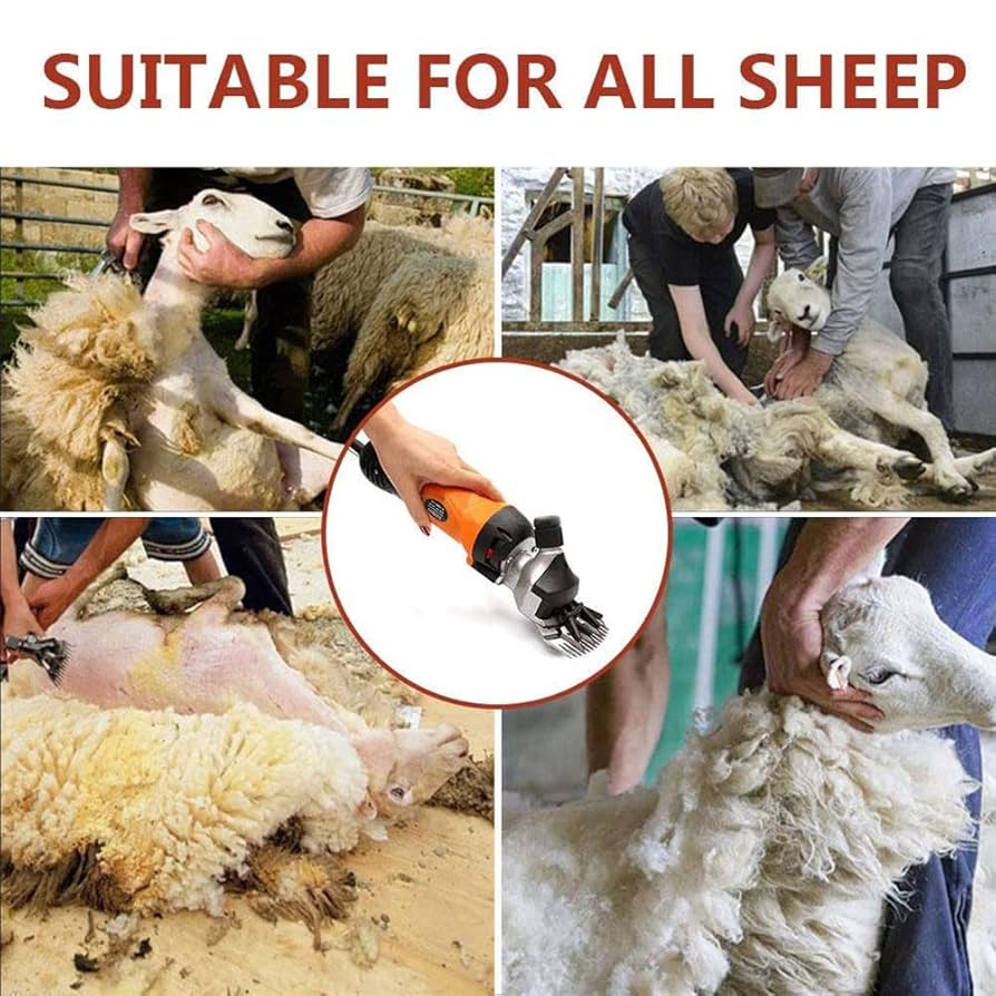 Amazon.com: GFAZXDS Professional Goats/Alpaca/Sheep Shear